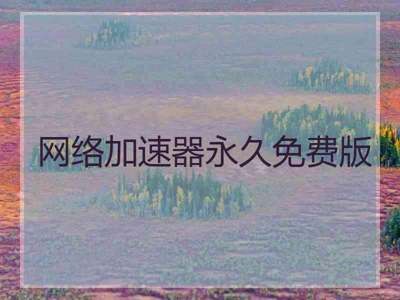 网络加速器永久免费版