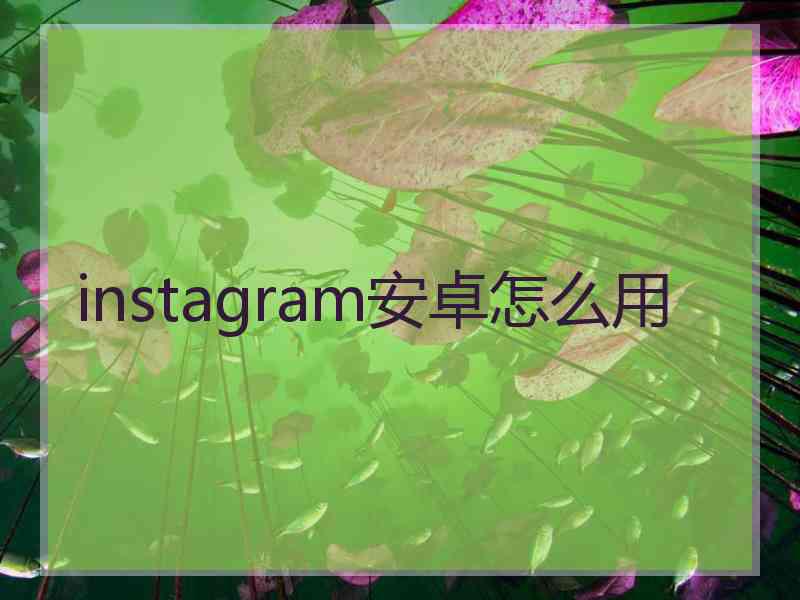 instagram安卓怎么用