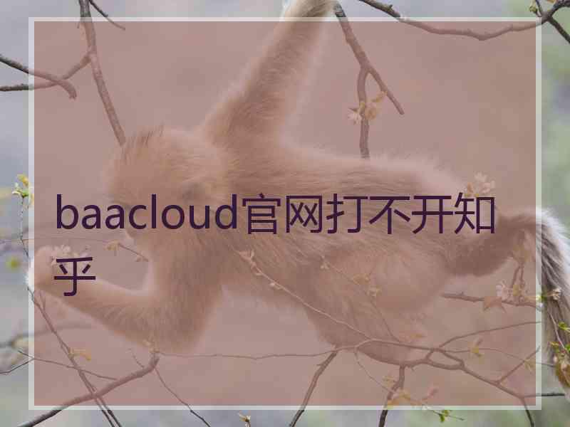 baacloud官网打不开知乎