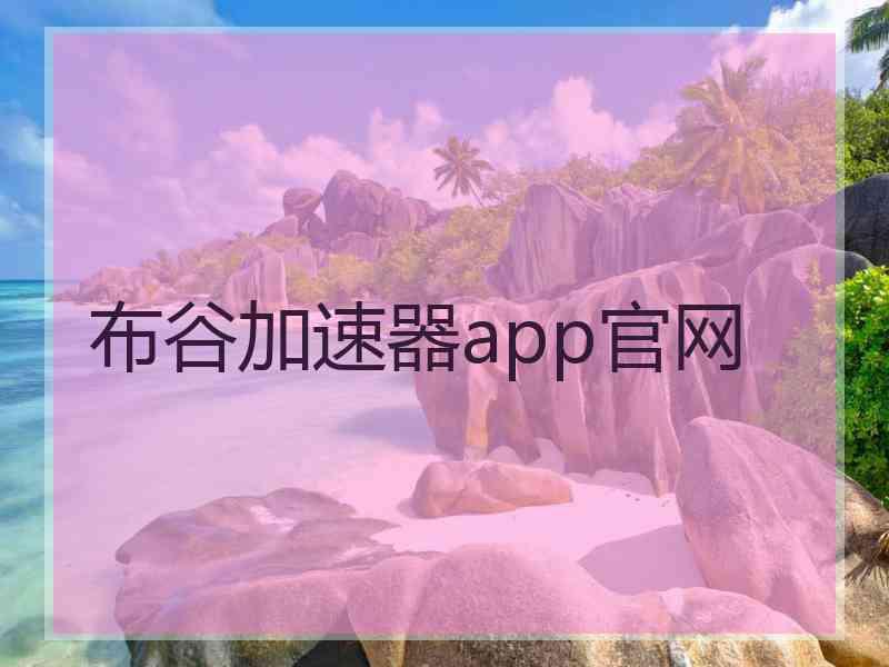 布谷加速器app官网