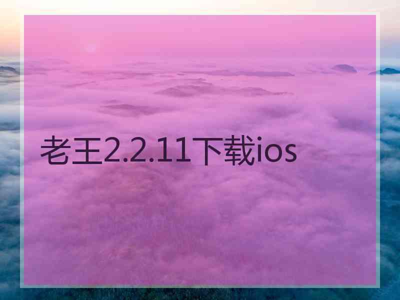 老王2.2.11下载ios