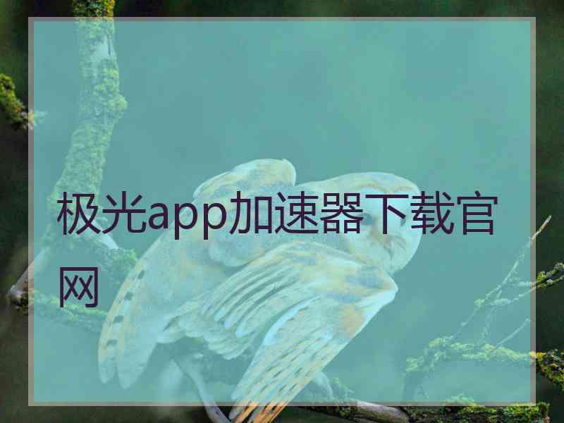 极光app加速器下载官网