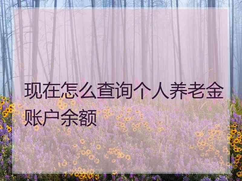 现在怎么查询个人养老金账户余额