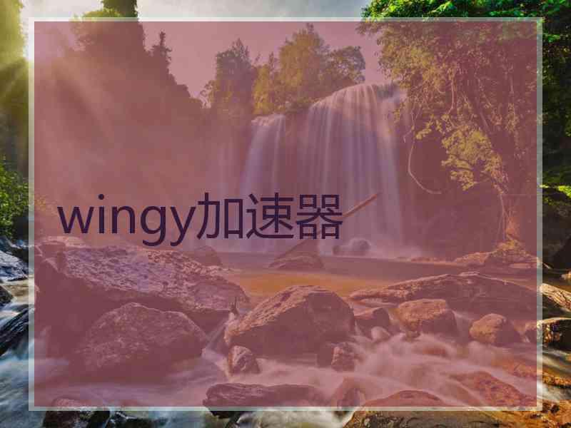 wingy加速器