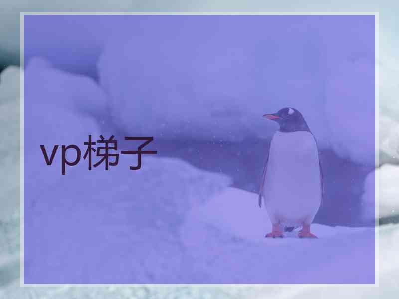 vp梯子