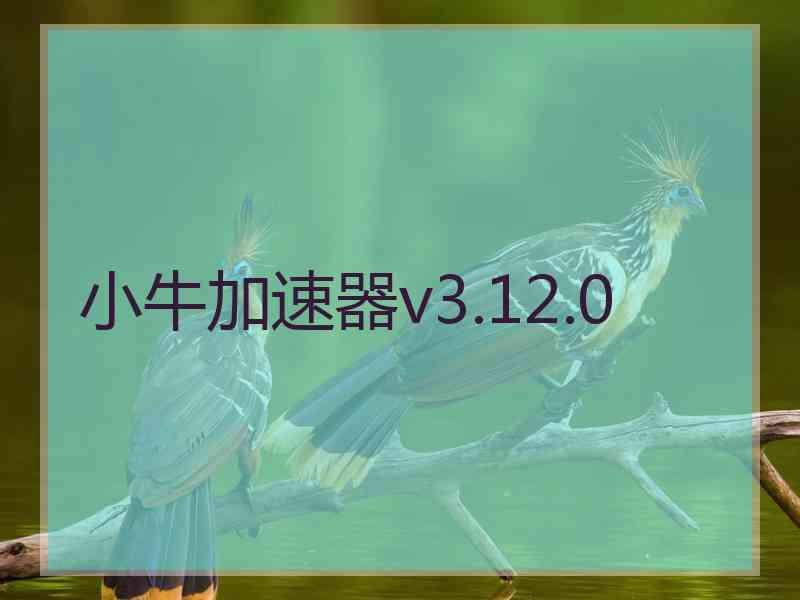 小牛加速器v3.12.0