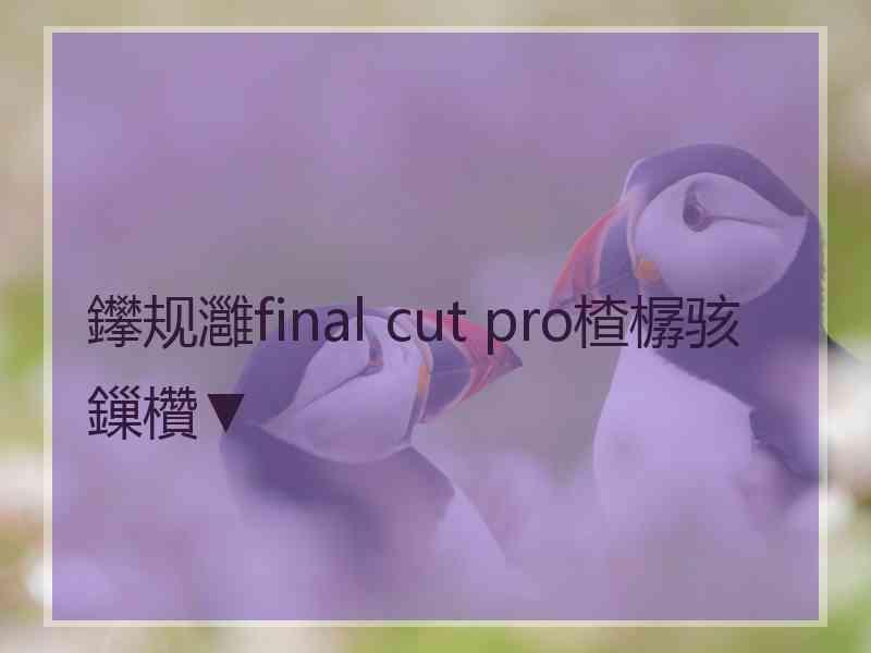 鑻规灉final cut pro楂樼骇鏁欑▼