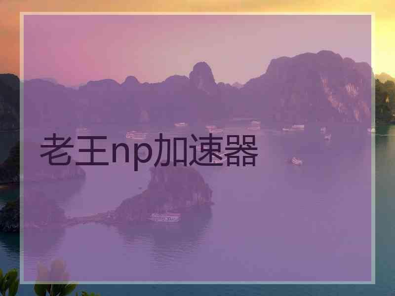 老王np加速器