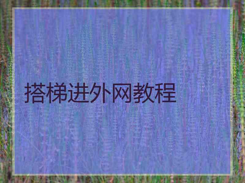 搭梯进外网教程