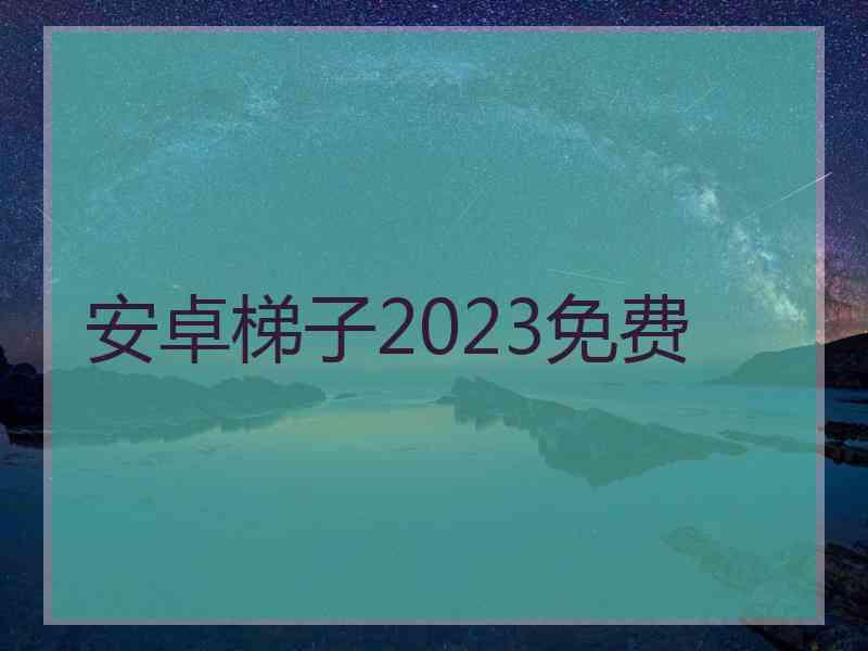 安卓梯子2023免费