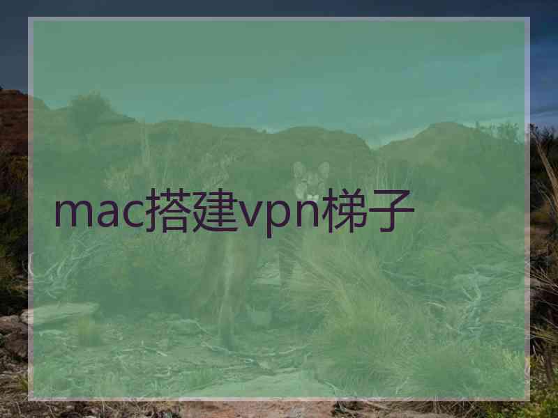 mac搭建vpn梯子