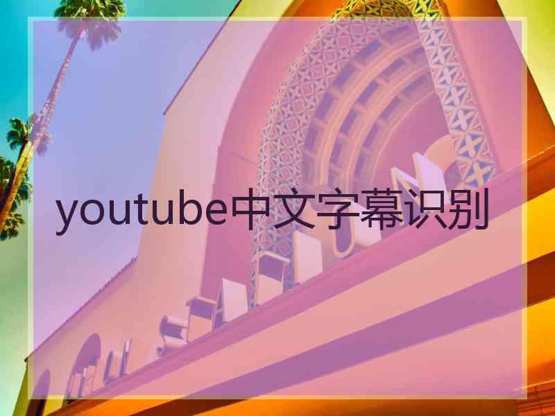 youtube中文字幕识别