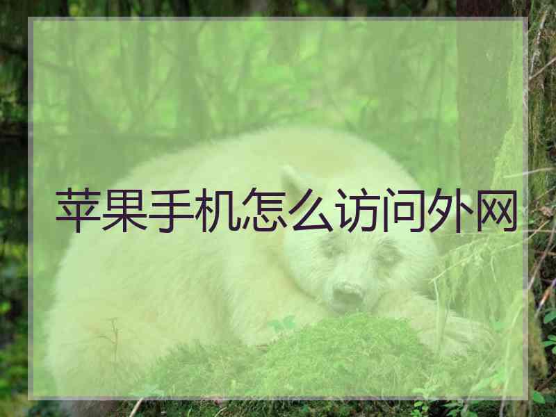 苹果手机怎么访问外网