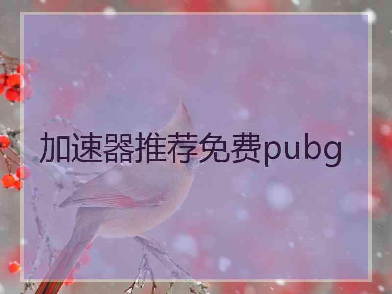 加速器推荐免费pubg