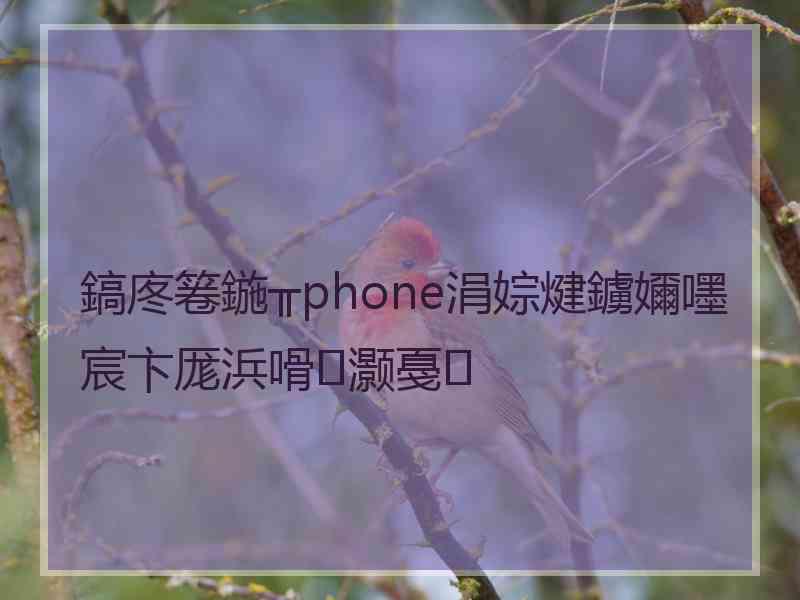 鎬庝箞鍦╥phone涓婃煡鐪嬭嚜宸卞厖浜嗗灏戞