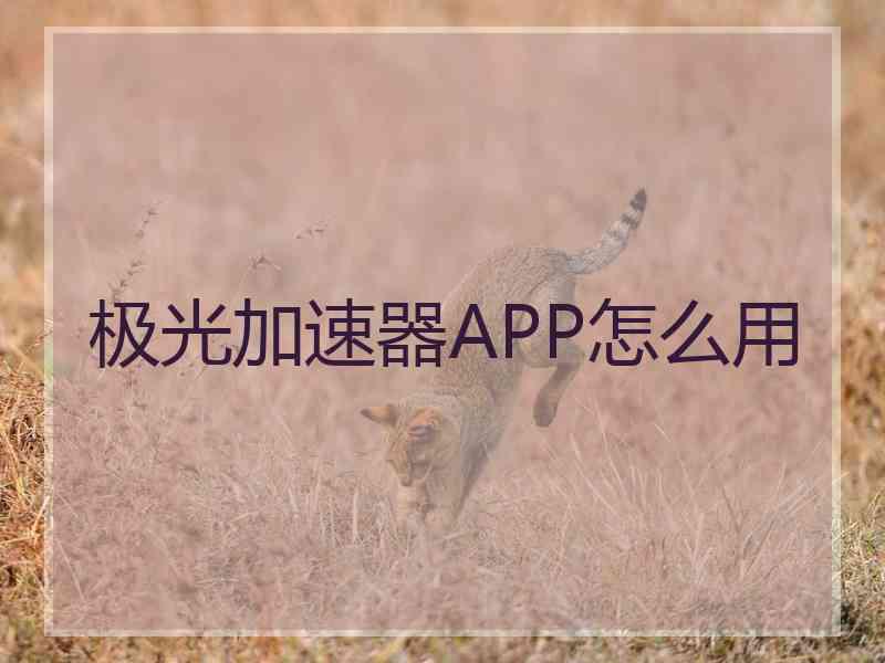 极光加速器APP怎么用