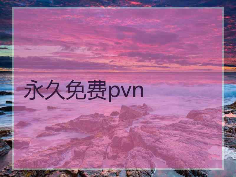 永久免费pvn