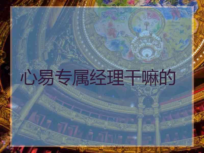 心易专属经理干嘛的