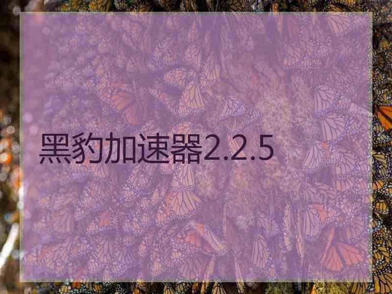 黑豹加速器2.2.5