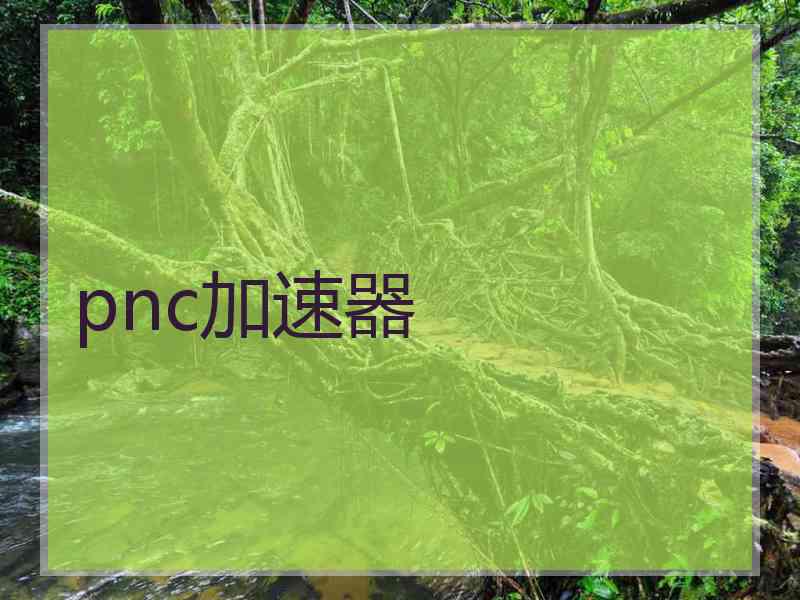 pnc加速器