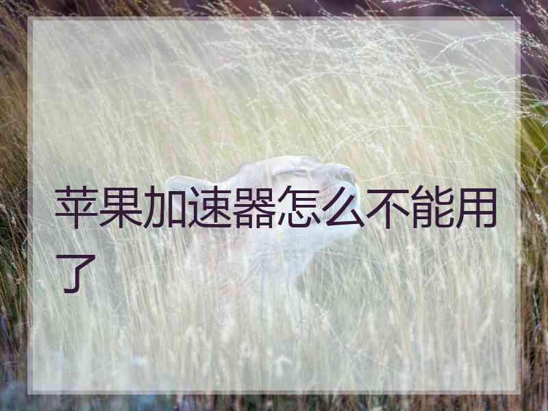 苹果加速器怎么不能用了