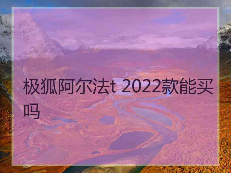 极狐阿尔法t 2022款能买吗