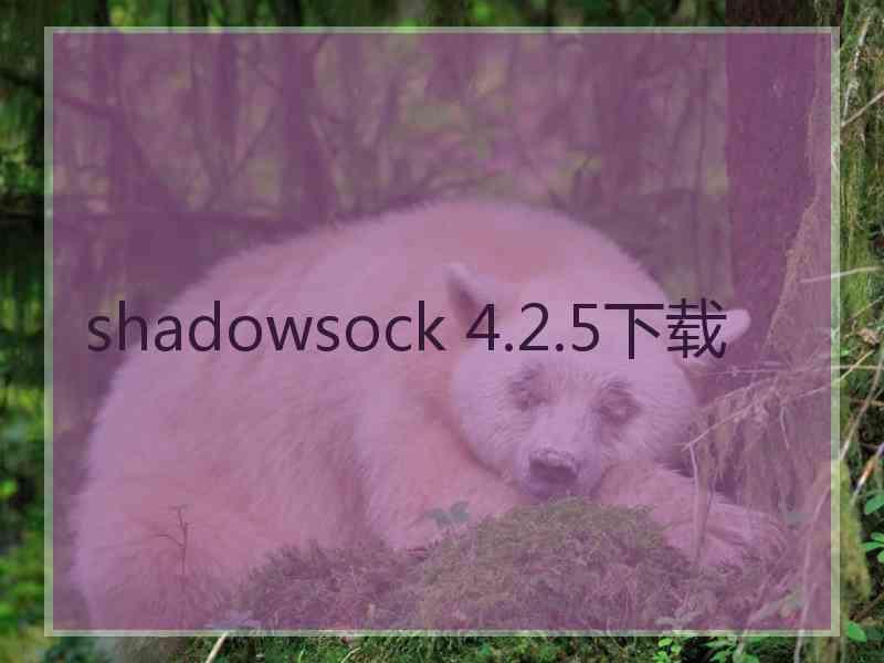 shadowsock 4.2.5下载