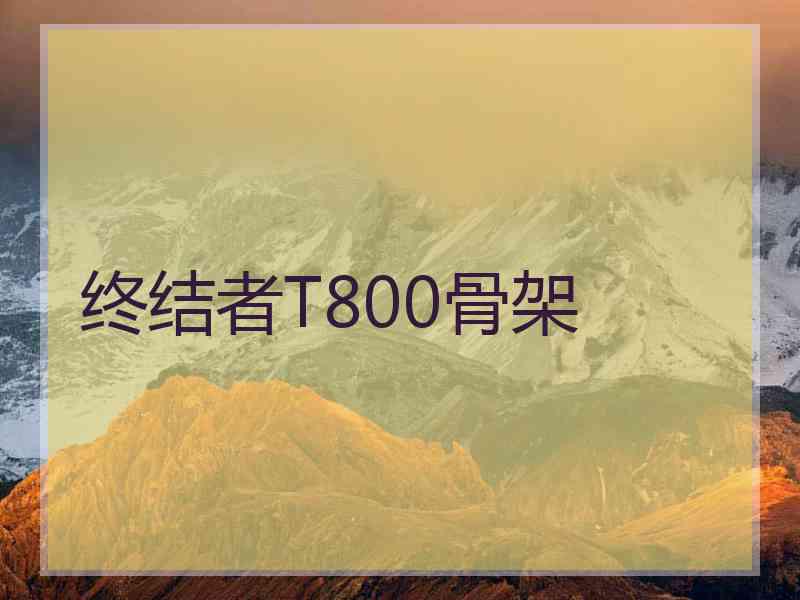 终结者T800骨架