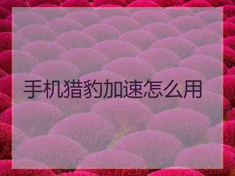 手机猎豹加速怎么用