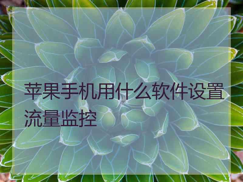 苹果手机用什么软件设置流量监控