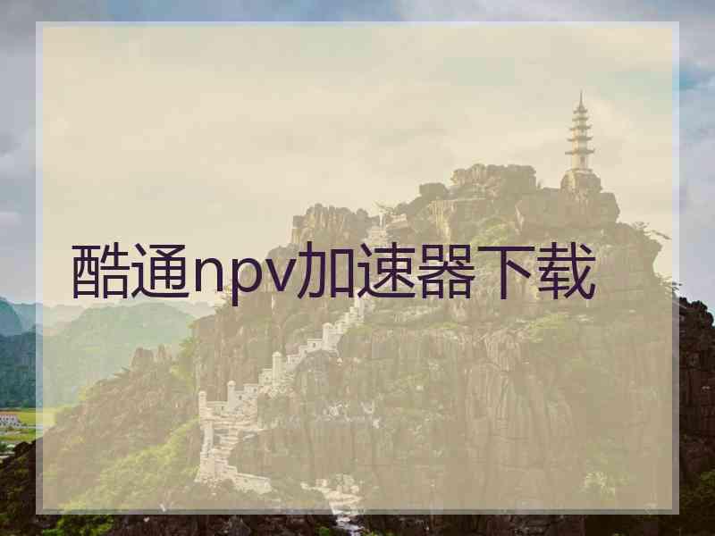 酷通npv加速器下载