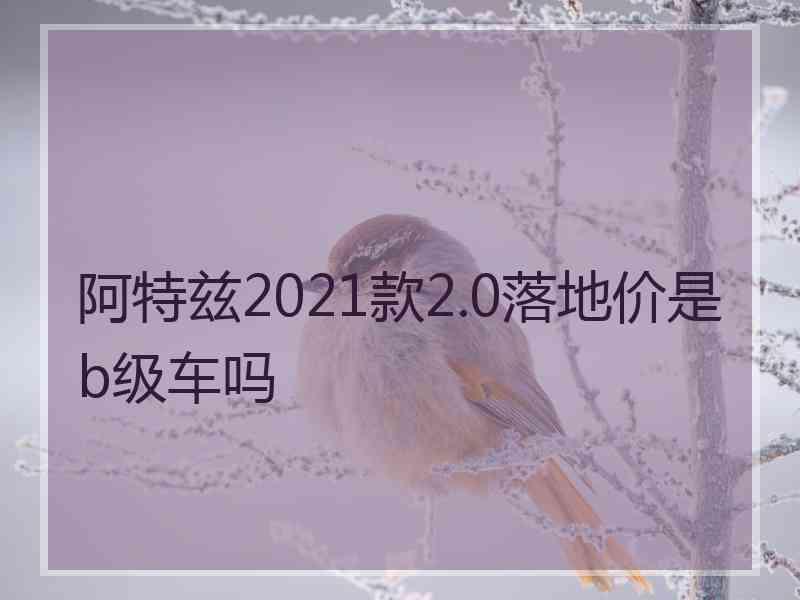 阿特兹2021款2.0落地价是b级车吗