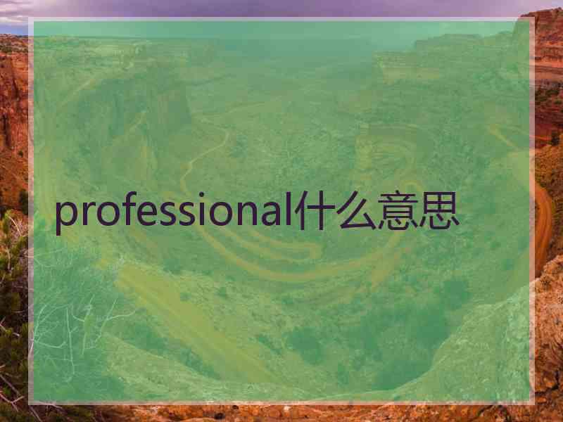 professional什么意思