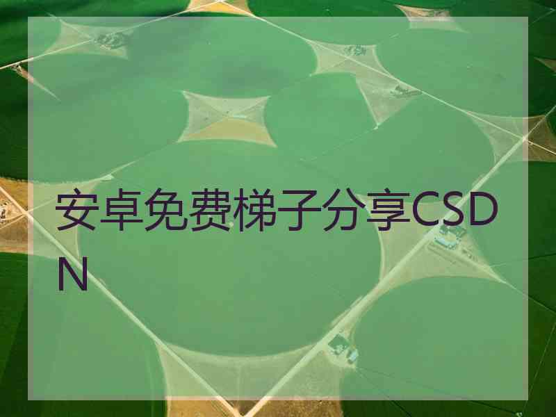 安卓免费梯子分享CSDN