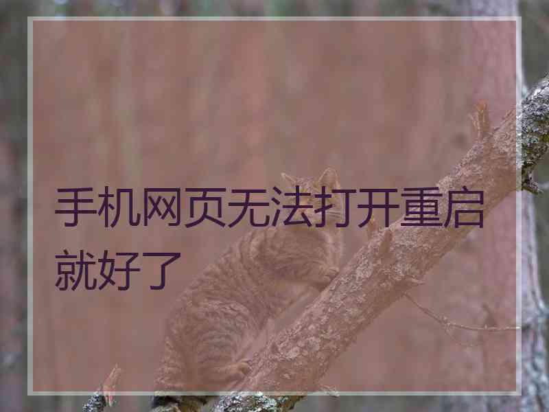 手机网页无法打开重启就好了