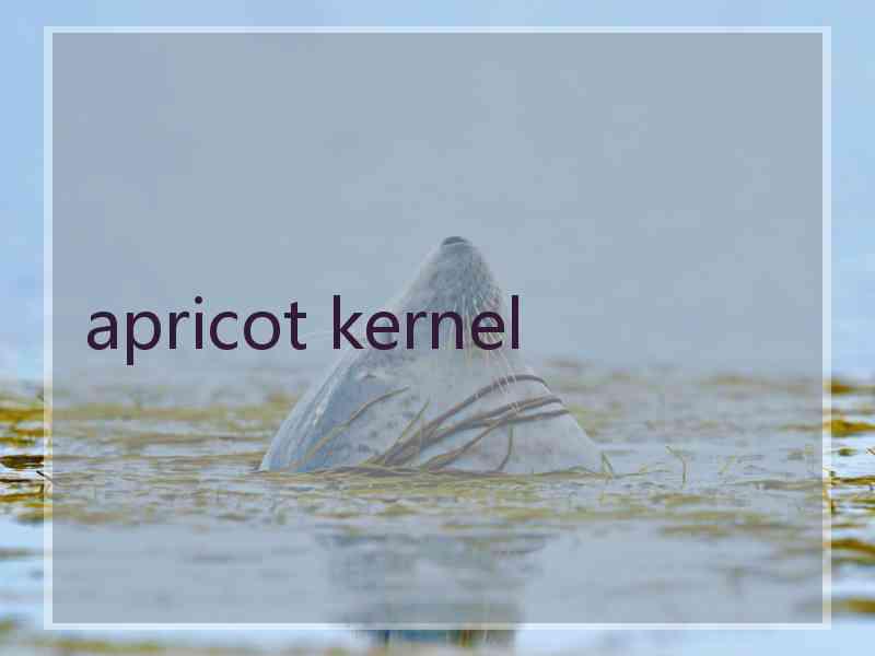 apricot kernel