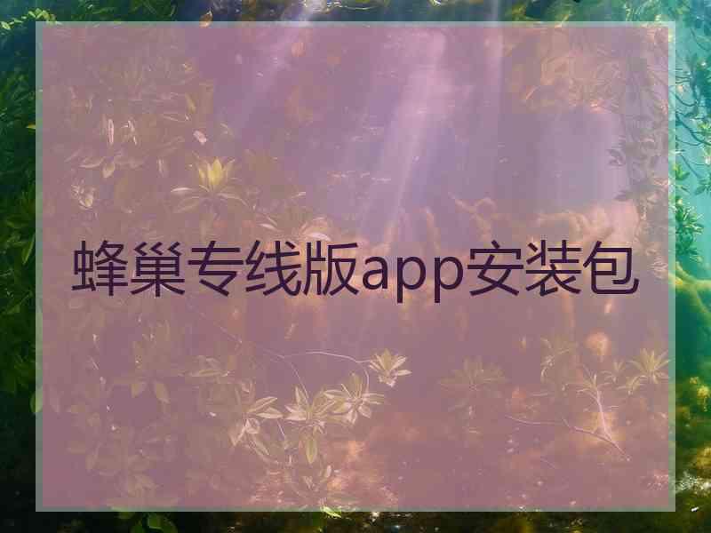 蜂巢专线版app安装包