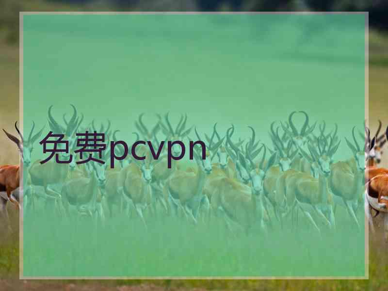 免费pcvpn