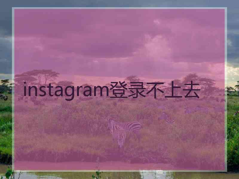 instagram登录不上去