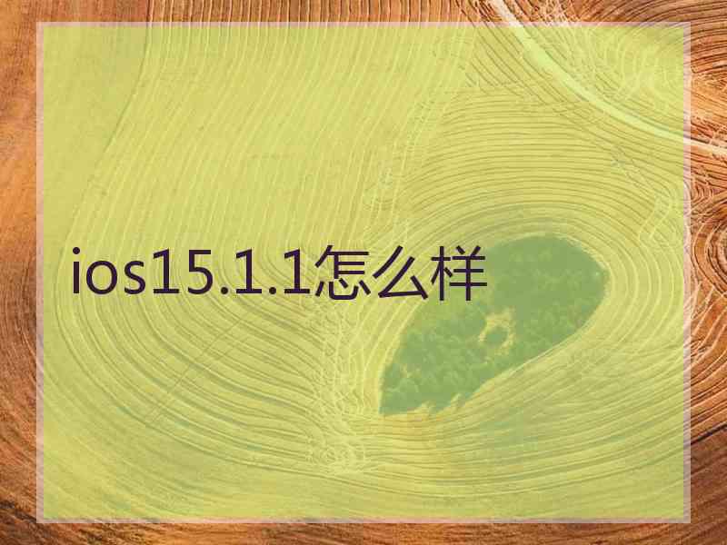 ios15.1.1怎么样