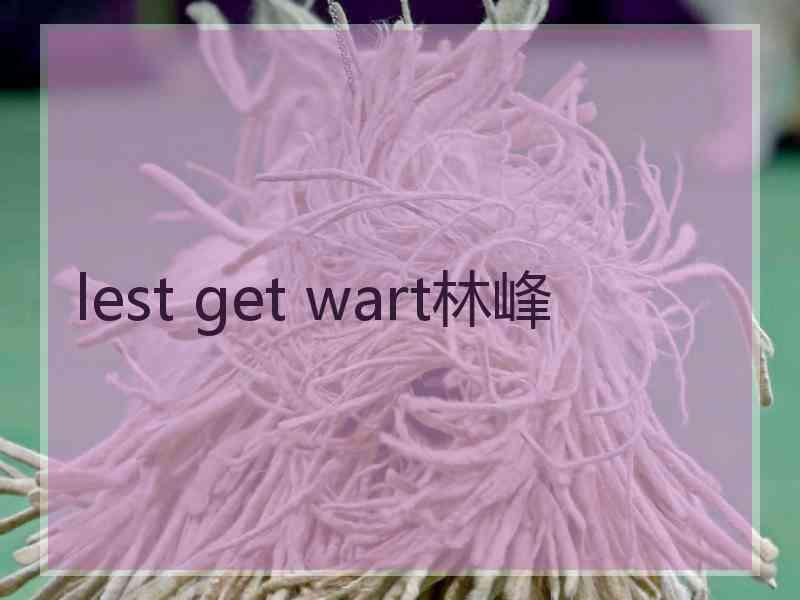 lest get wart林峰