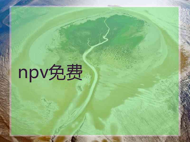 npv免费