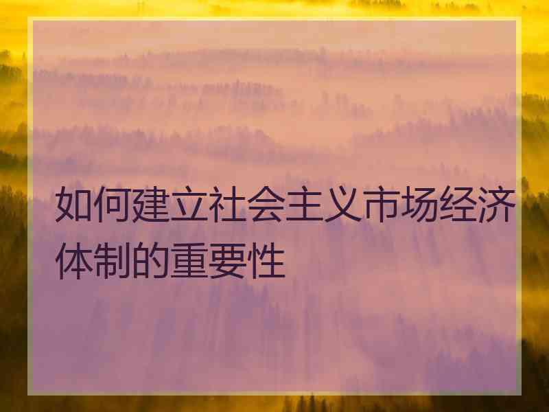 如何建立社会主义市场经济体制的重要性