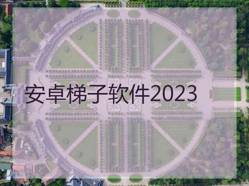 安卓梯子软件2023