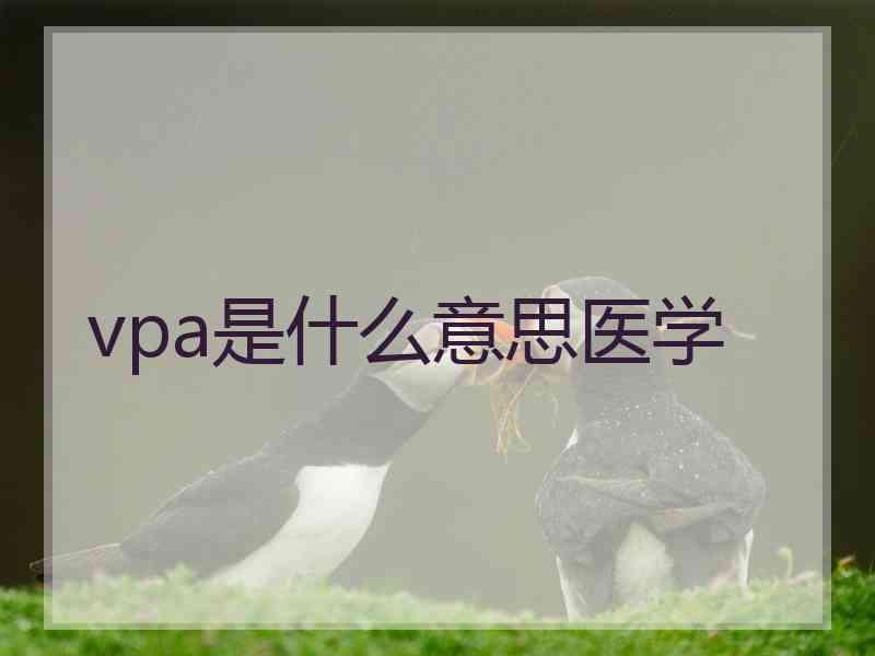 vpa是什么意思医学