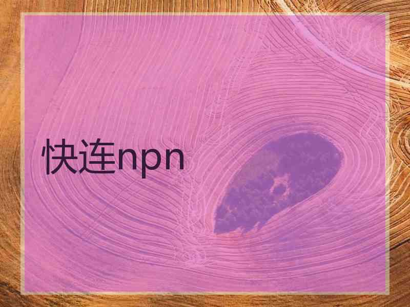 快连npn