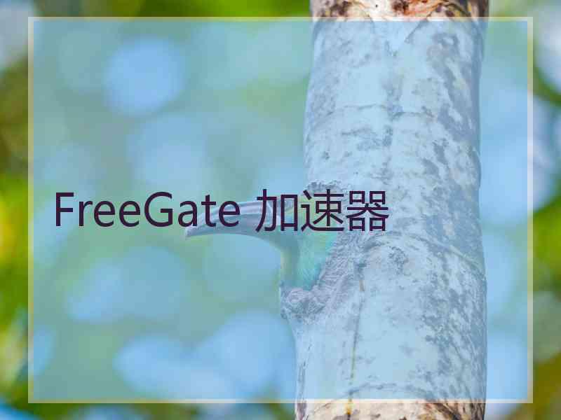 FreeGate 加速器