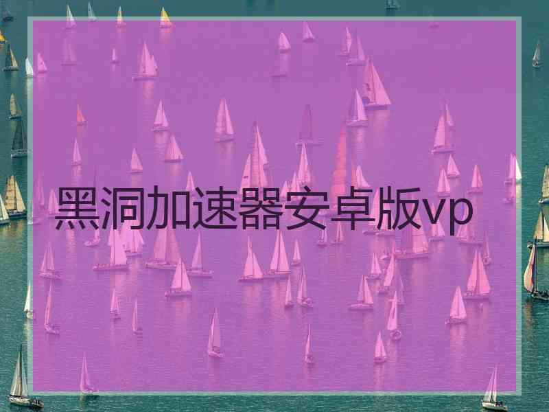 黑洞加速器安卓版vp