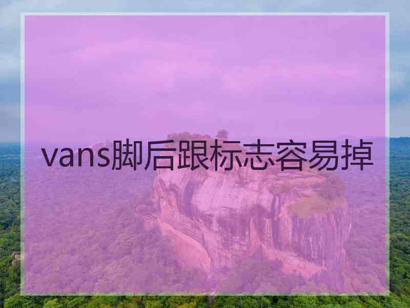 vans脚后跟标志容易掉