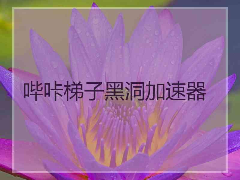 哔咔梯子黑洞加速器